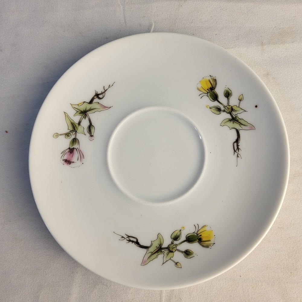 Winterling Porcelain 5.5" Saucer Knapweed Special Edition Mobil Bavaria